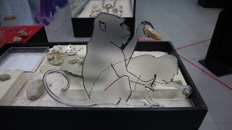 เมื่อวานรเข้าสู่ “ยุคหิน” ?: “เครื่องมือ” และการนิยามความเป็นมนุษย์